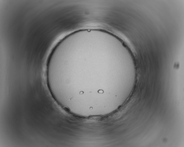 X0000102811472200809150940