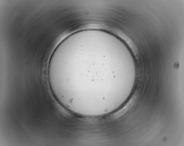 X0000102811473200809150940