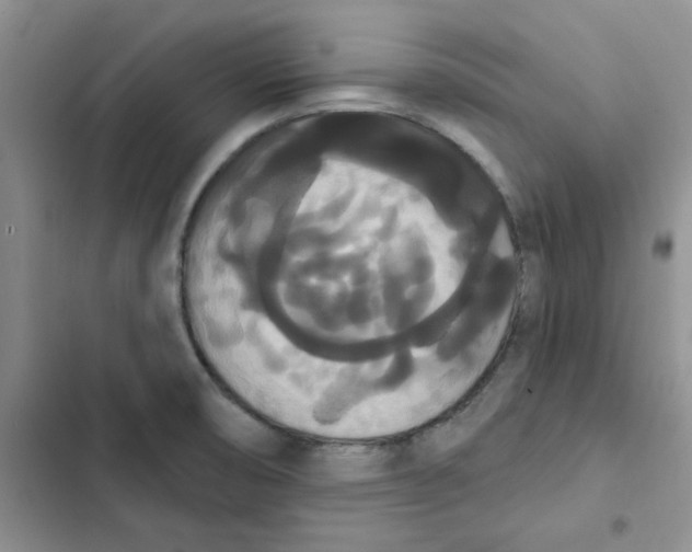 X0000102811474200809150940