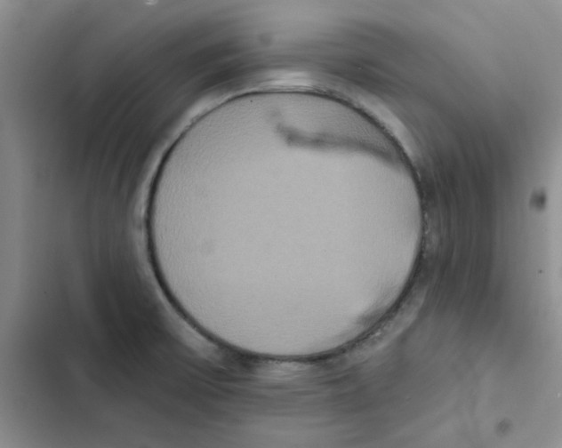 X0000102811475200809150940