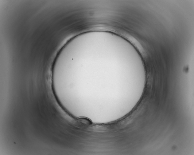 X0000102811476200809150940