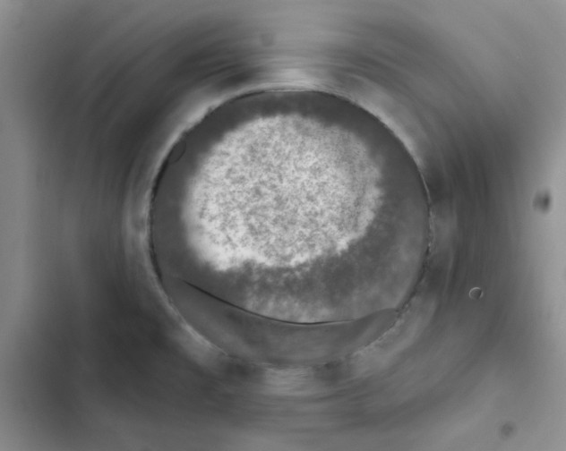 X0000102811477200809150940