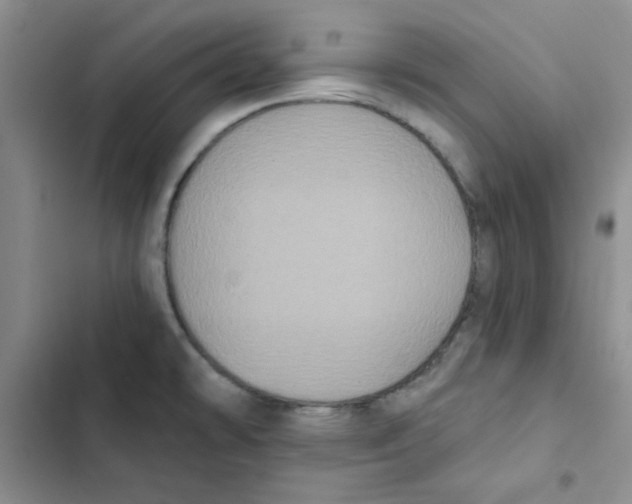 X0000102811478200809150940