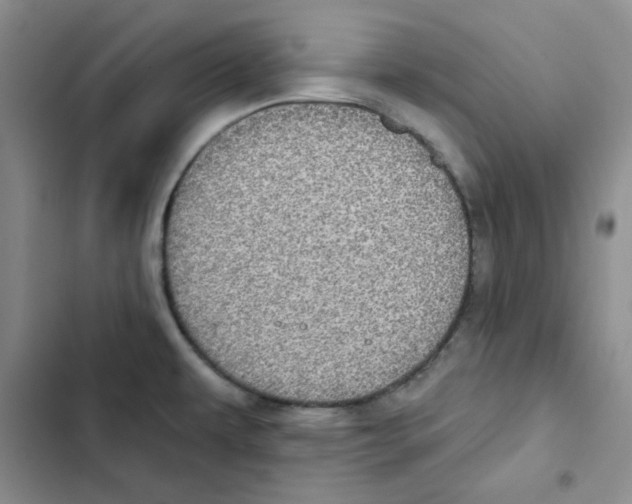 X0000102811479200809150940