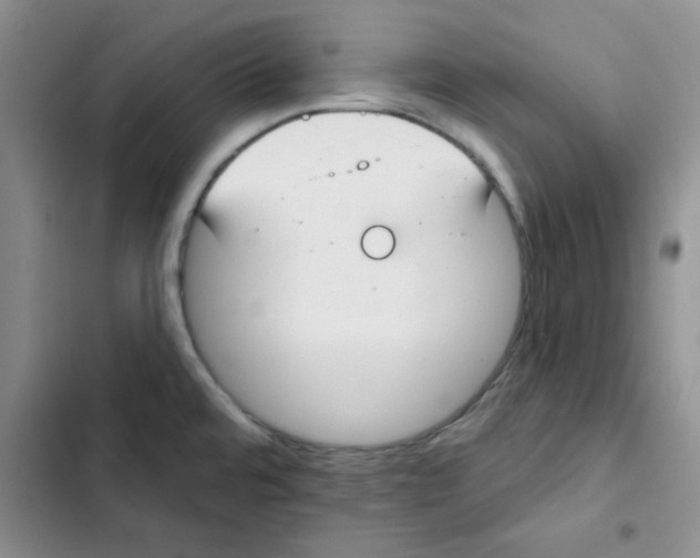 X0000102811480200809150940