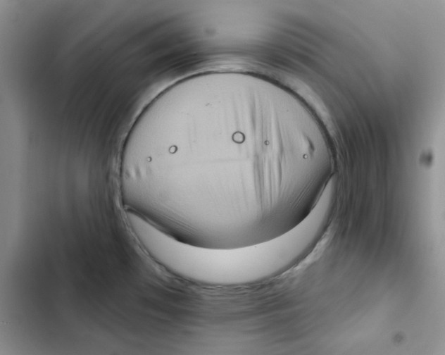 X0000102811481200809150940