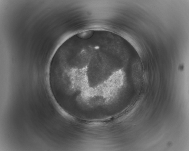 X0000102811482200809150940