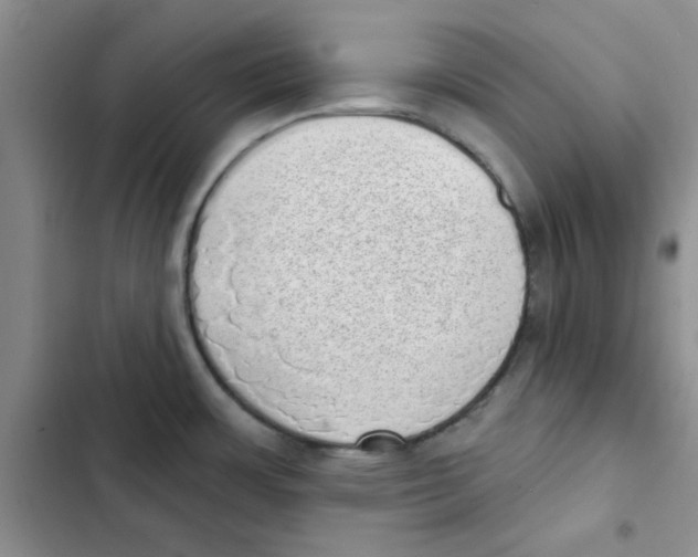 X0000102811483200809150940