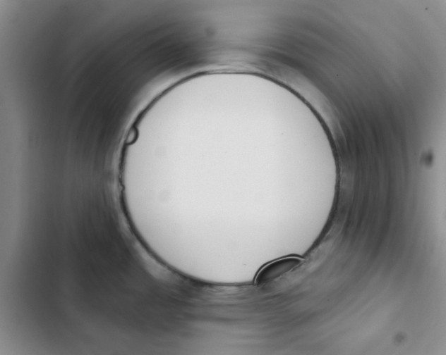 X0000102811485200809150940