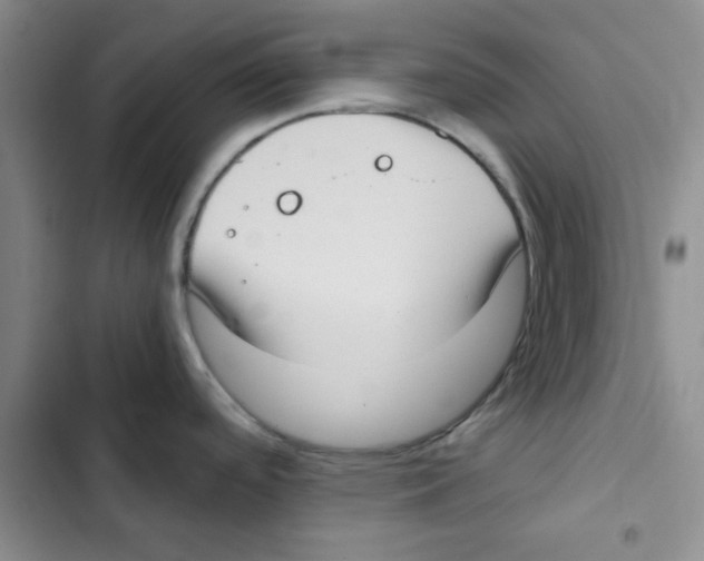 X0000102811488200809150940