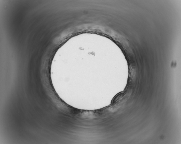 X0000102811489200809150940