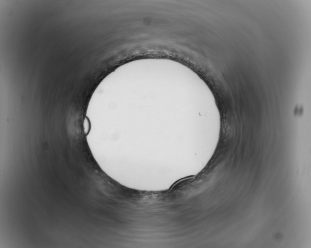 X0000102811490200809150940