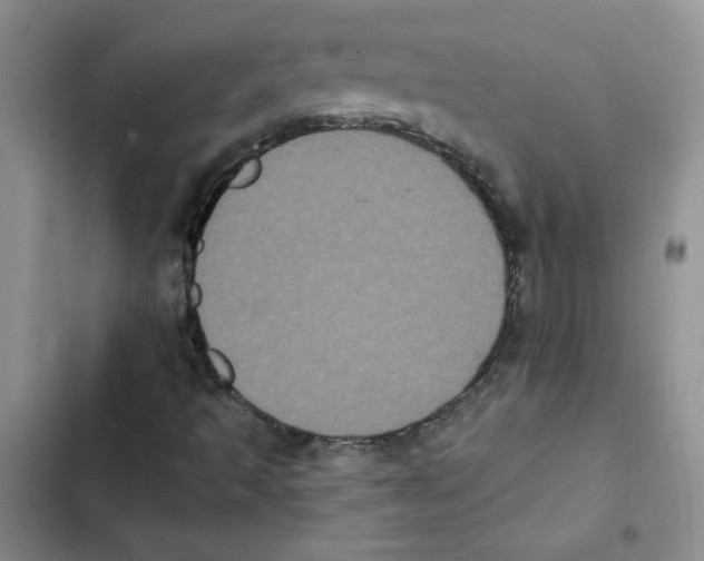 X0000102811493200809150940