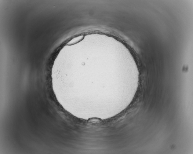 X0000102811496200809150940