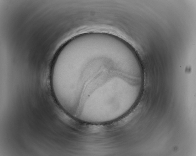 X0000102811498200809150940