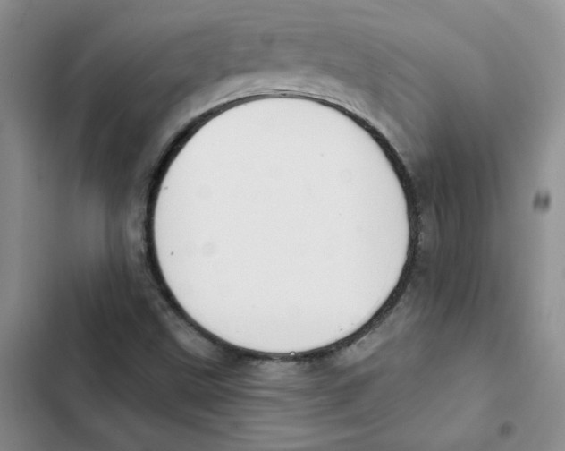 X0000102811499200809150940