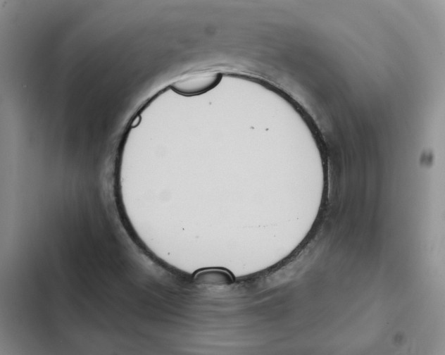 X0000102811500200809150940