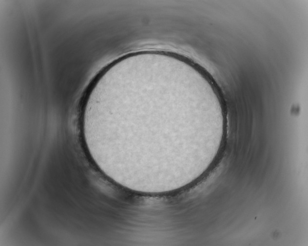 X0000102811501200809150940