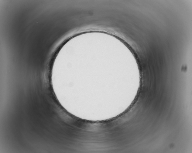 X0000102811502200809150940