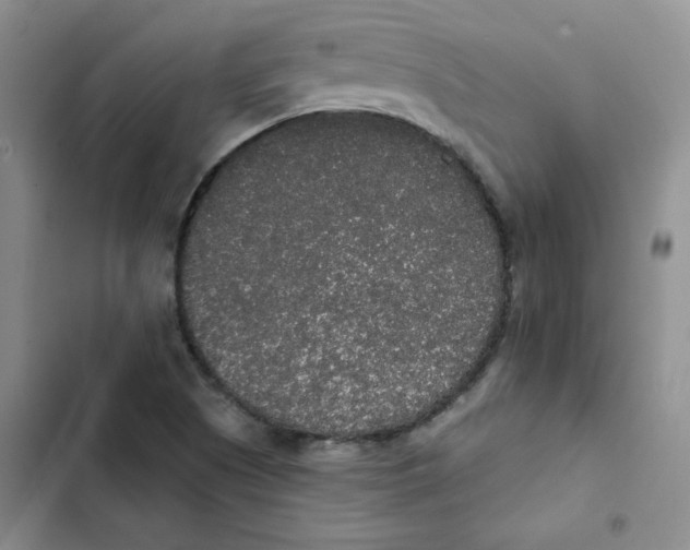 X0000102811505200809150940