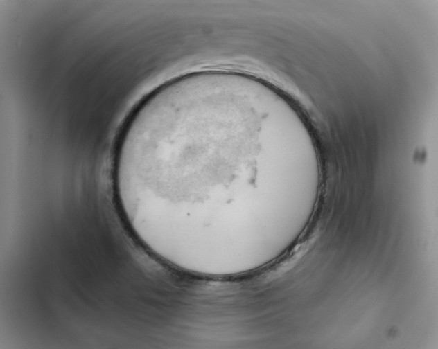 X0000102811506200809150940