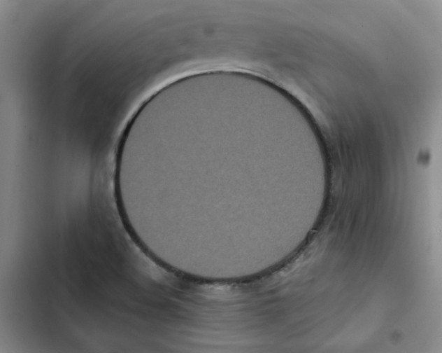 X0000102811508200809150940