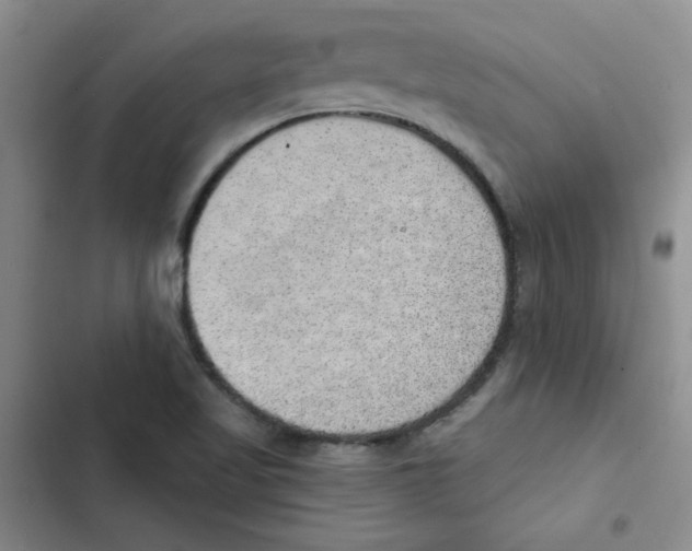 X0000102811509200809150940