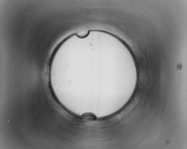 X0000102811510200809150940