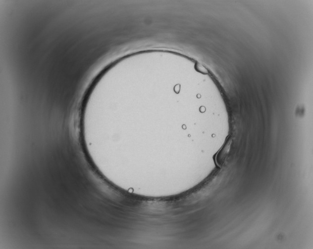 X0000102811511200809150940