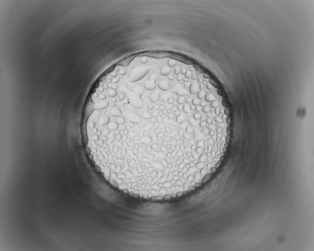 X0000102811513200809150940