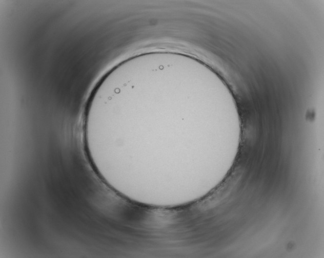 X0000102811514200809150940