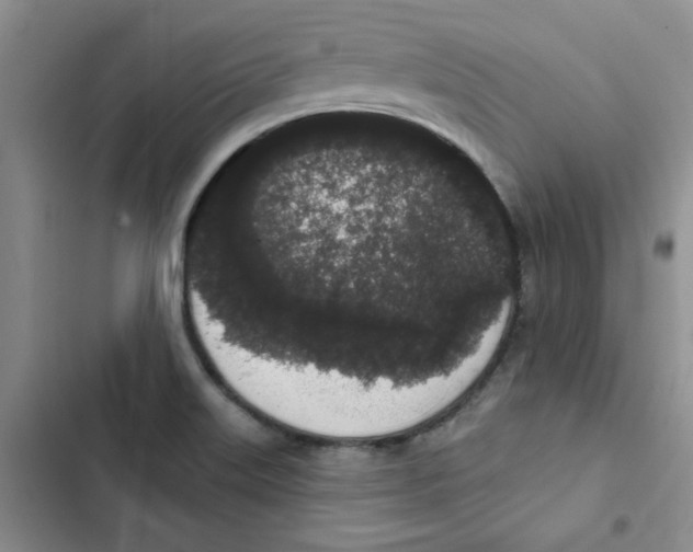 X0000102811515200809150940