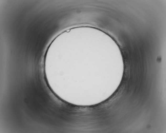 X0000102811516200809150940