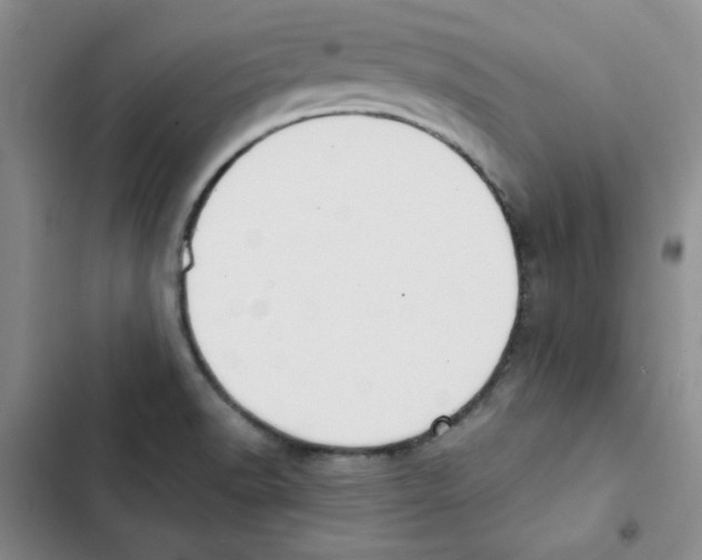 X0000102811518200809150940