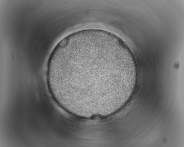 X0000102811519200809150940