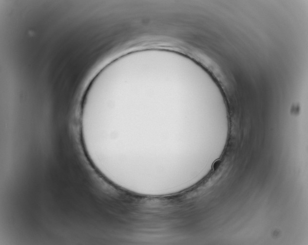 X0000102811520200809150940