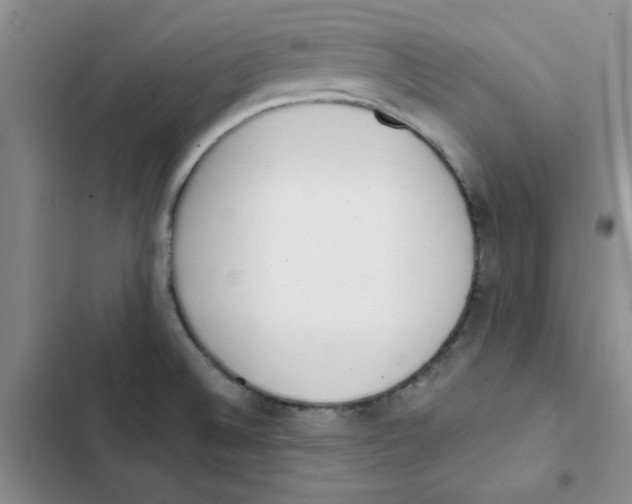 X0000102811524200809150940