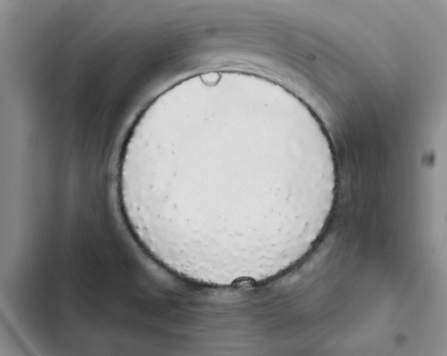 X0000102811525200809150940