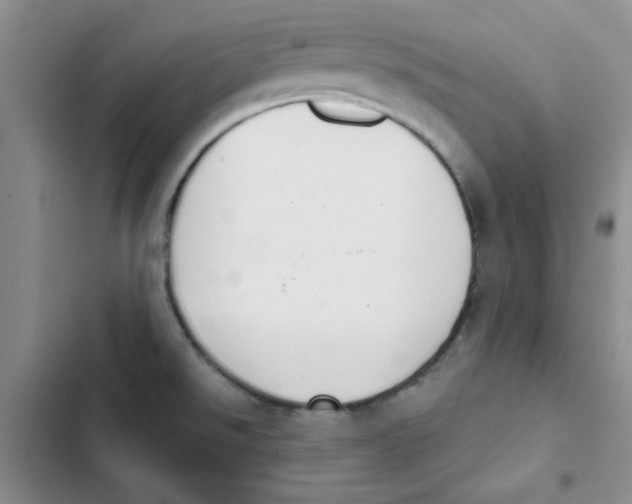 X0000102811526200809150940