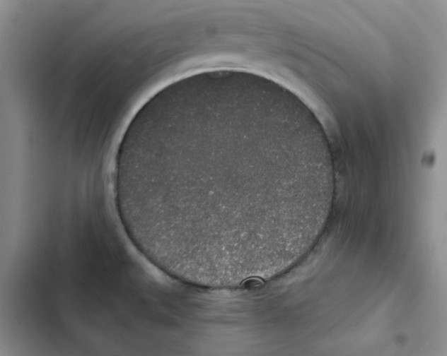 X0000102811527200809150940