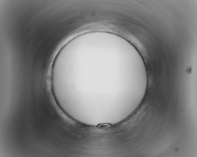 X0000102811528200809150940