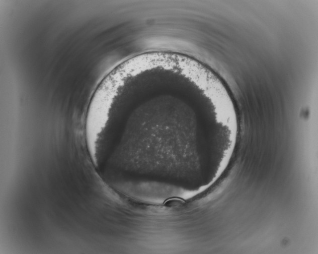 X0000102811529200809150940