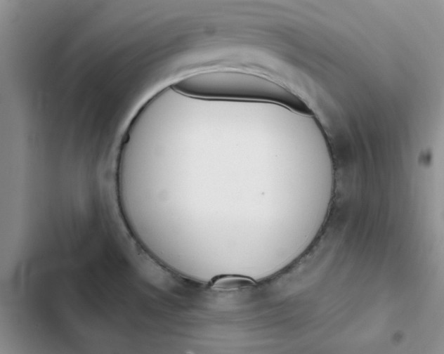 X0000102811530200809150940