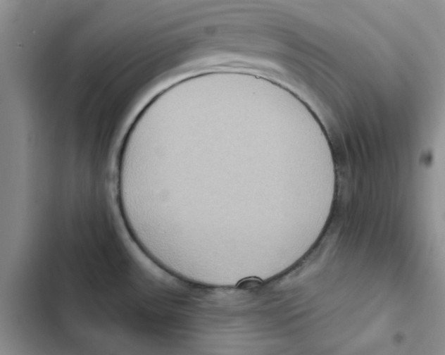 X0000102811531200809150940