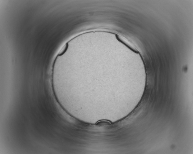 X0000102811532200809150940