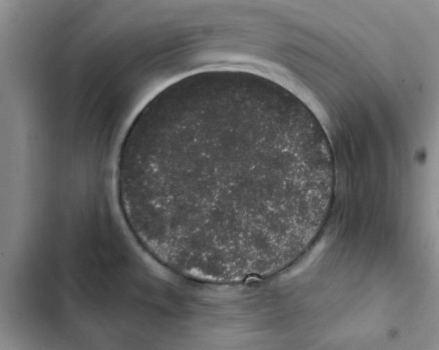 X0000102811533200809150940