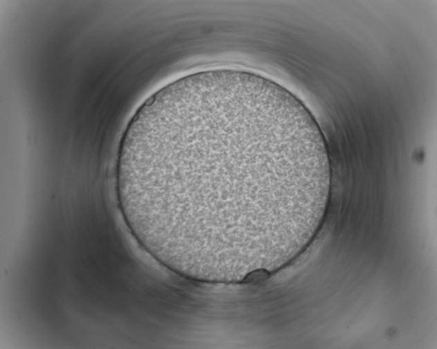 X0000102811534200809150940