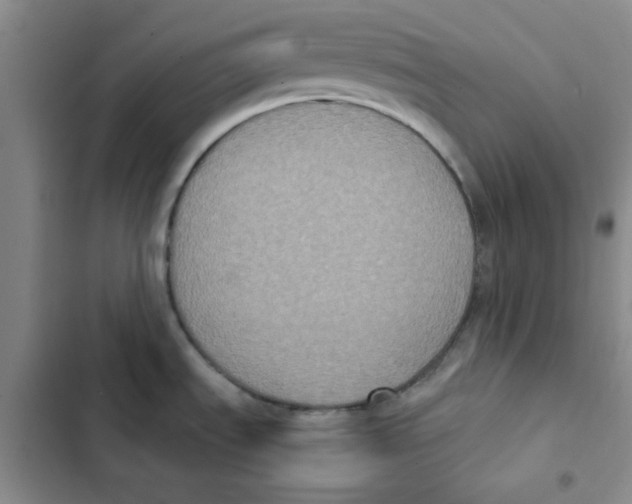 X0000102811535200809150940