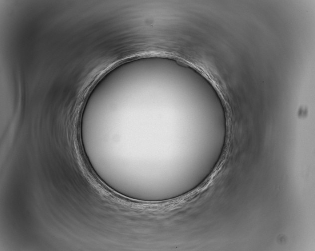 X0000102820001200808181036