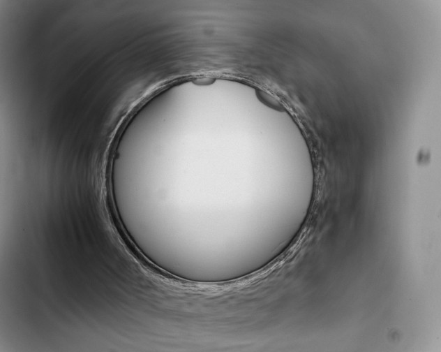 X0000102820002200808181036